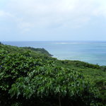 ベイベール - テラス席より（少し曇り気味）