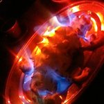 サファリ アフリカンレストランバー - 