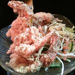 コチン ニヴァース - 