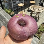 VANITOY BAGEL - 