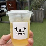 +WAN - ドリンク写真: