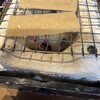 井筒八ッ橋本舗 祇園本店