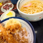 Tendon Tenya - 