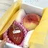 KOBOYA - 
