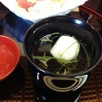 山茶花 - 
