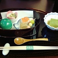 山茶花 - 