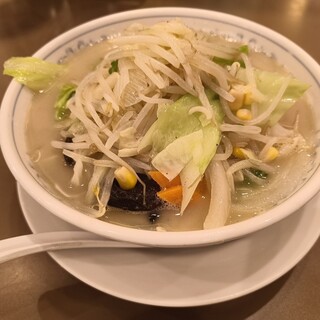 たんめん専門店 百菜_0