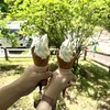 開田高原アイスクリーム工房 - 