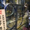 スプリングバレーブルワリー東京 スプリングバレーブルワリー東京