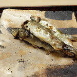 緒方 - 稚鮎は・・・