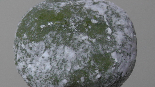 太郎庵 会津高田店 - 会津高田（スイーツ）の写真