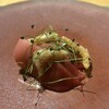 薫 HIROO - 