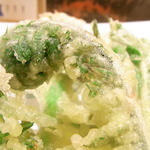 はてなのちゃわん - ノカンゾウ・ウド菜・ゼンマイなど☆♪