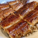 昼だけうなぎ屋 - うな丼アップ
