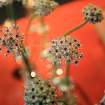 リバーリトリート 雅樂倶 - 