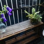 蕎音 - 窓の外には草花がある