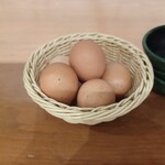 東大 - 卓上の無料の生玉子