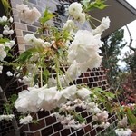 ステラート - 田舎にぽつんとあります。