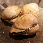 ぎおん 阪川 - これが何貝か、分かりますか？