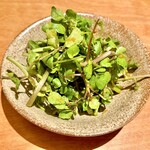 酒場シナトラ - クレソンの本山葵和え　880円（税込）