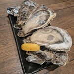オイスター&スモークドバーサンゴ - 
