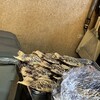 たいやき札幌柳屋 - この２０匹を購入しました