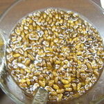 プルジャ ダイニング - ククリラム・スパイス・ジャイカッテ　上から