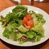 トラットリア ラ フェリチタ - 料理写真:彩り野菜のサラダ