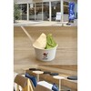 GELATERIA solege