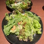 sinensis - 