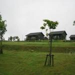 レストラン・マッカリーナ - マッカリーナ