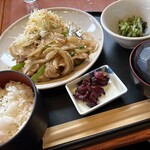 ラクダ - 