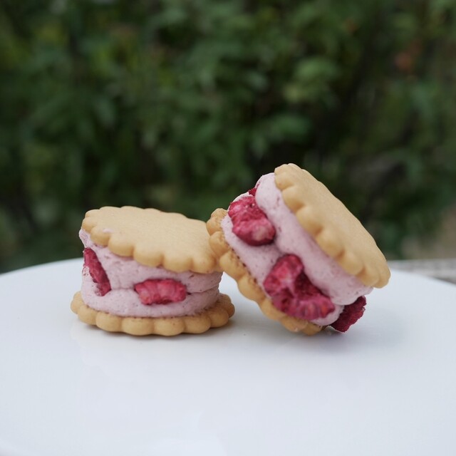 シェリーメゾンドビスキュイ　桜＆グリオットチェリー CHERIE MAISON DU BISCUIT （シェリーメゾンドビスキュイ） - 丸太町