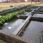 ドライブイン刈谷田 - 