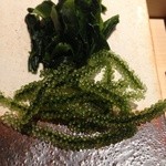 すし匠 まさ - Ｈ27.4 海ぶどうとワカメ