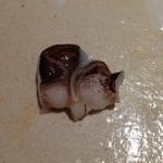 すし匠 まさ - Ｈ27.4 トリ貝 ワタ付き