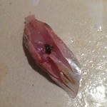 すし匠 まさ - Ｈ27.4 鯵 郡上味噌を忍ばせて