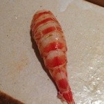 すし匠 まさ - Ｈ27.4 車海老