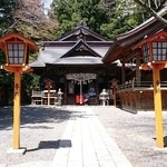しんたく - 2015桜、新倉浅間神社
