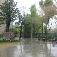 旧桜宮公会堂 - 旧桜宮公会堂の外テーブル