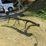 パンデカフェファリーヌ - 