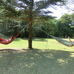 パンデカフェファリーヌ - 子供と寝てる