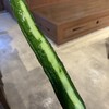 おかげ横丁