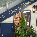 Curry&herb Cherry blossom - お客が居ると角はでればい