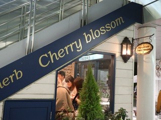 Curry&herb Cherry blossom - お店は百合ヶ丘駅の階段の下の小さなスペース