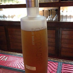 Lady - オクトモアの新しいヤツ