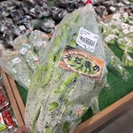 わくわく広場 - 料理写真: