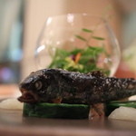 hanzouya - 山形から届く岩魚の炭火焼、山菜と野草のテリーヌ添え