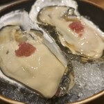 CENSU - 