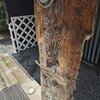 ヒカリヤ ニシ - 
